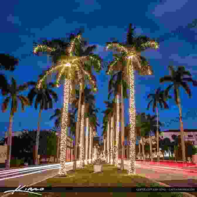 A Dazzling Display Of Christmas Lights Adorning The Palm Trees Along Silver Springs Boulevard A California Christmas (Silver Springs 7)
