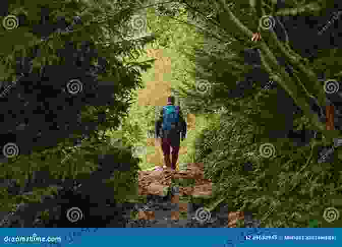 A Lone Hiker Walking Through A Desolate Forest The Wrong Turn NC Marshall