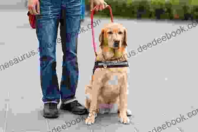 A Person With A Service Dog In A Public Place Life With A Service Dog: Make An Informed Decision To Get A Psychiatric Service Dog