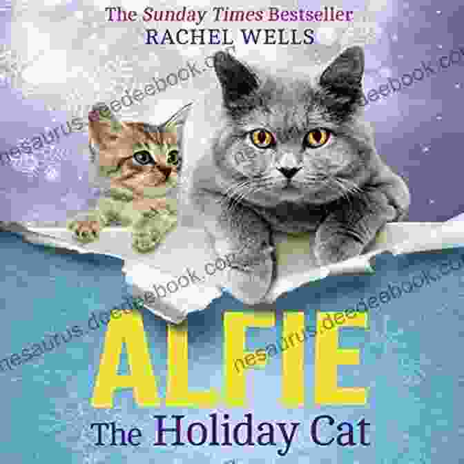 A Photo Of Alfie The Cat With A Social Media Post About His Adventure Alfie The Holiday Cat (Alfie 4)