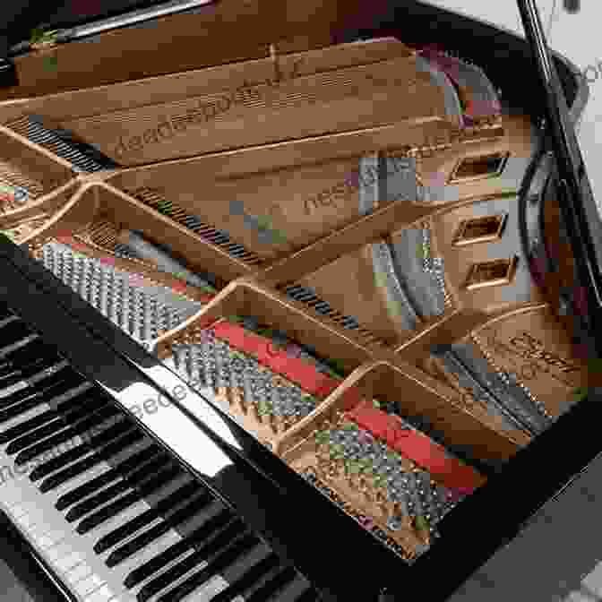 Close Up Of A Grand Piano With Musical Notes Creative Arts For Beginners Series: 1 4