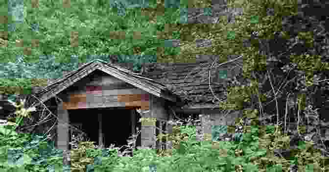 The Abandoned Cabin, A Haunting Reminder Of The Horrors That Unfolded The Wrong Turn NC Marshall