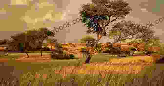 The Sprawling Plains Of The African Savanna Gulliver S Travels: Into Several Remote Regions Of The World