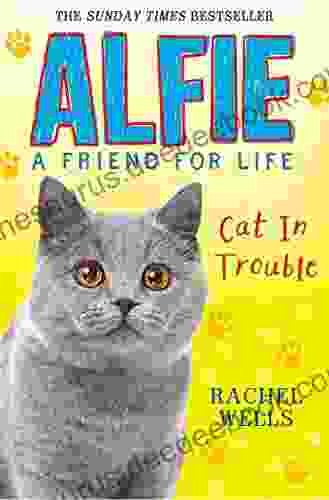 Alfie Cat In Trouble (Alfie A Friend For Life)