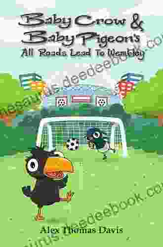 Baby Crow Baby Pigeon S All Roads Lead To Wembley