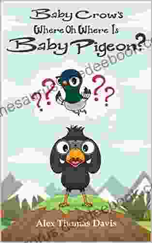 Baby Crow S Where Oh Where Is Baby Pigeon