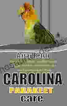 CAROLINA PARAKEET CARE: Carolina Parakeet An Affectionate Happy And Low Maintenance Pet And How To Care For Them