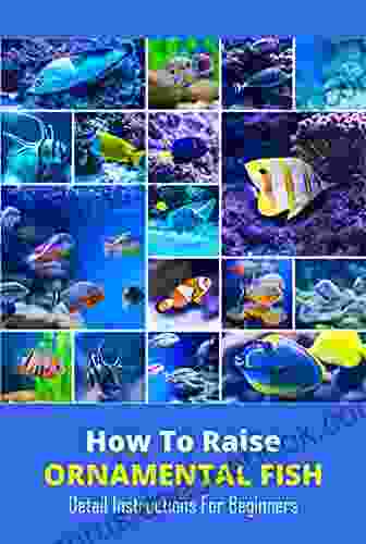 How To Raise Ornamental Fish: Detail Instructions For Beginners