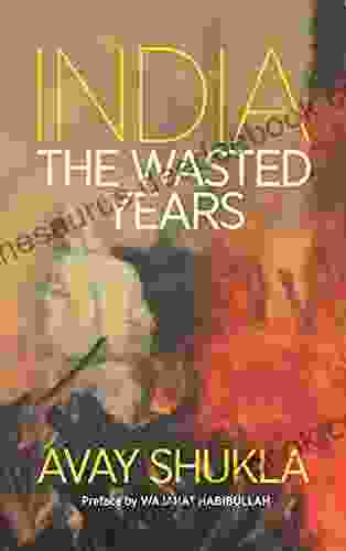 India: The Wasted Years Avay Shukla