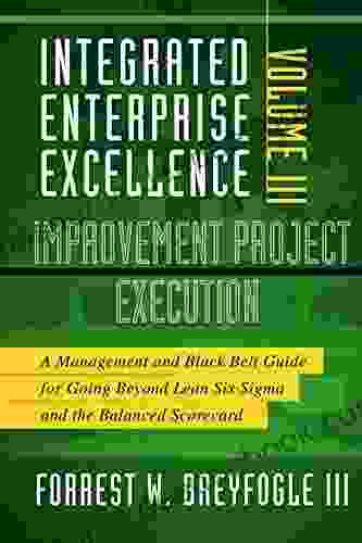 Integrated Enterprise Excellence Vol III Improvement Project Execution: A Management And Black Belt Guide For Going Beyond Lean Six Sigma And The Balanced Scorecard