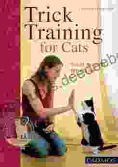 Trick Training For Cats: Smart Fun With The Clicker (Bringing You Closer)