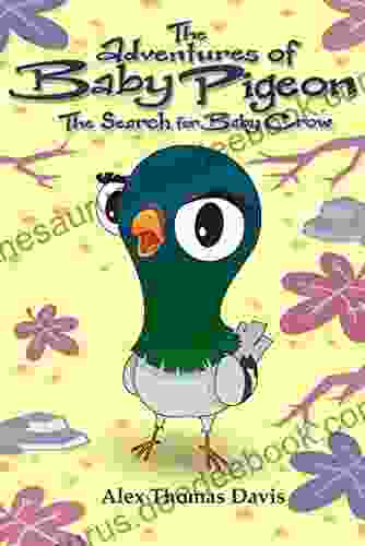 The Adventures Of Baby Pigeon: The Search For Baby Crow