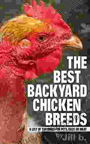 The Best Backyard Chicken Breeds: A List Of Top Birds For Pets Eggs And Meat (Livestock 2)